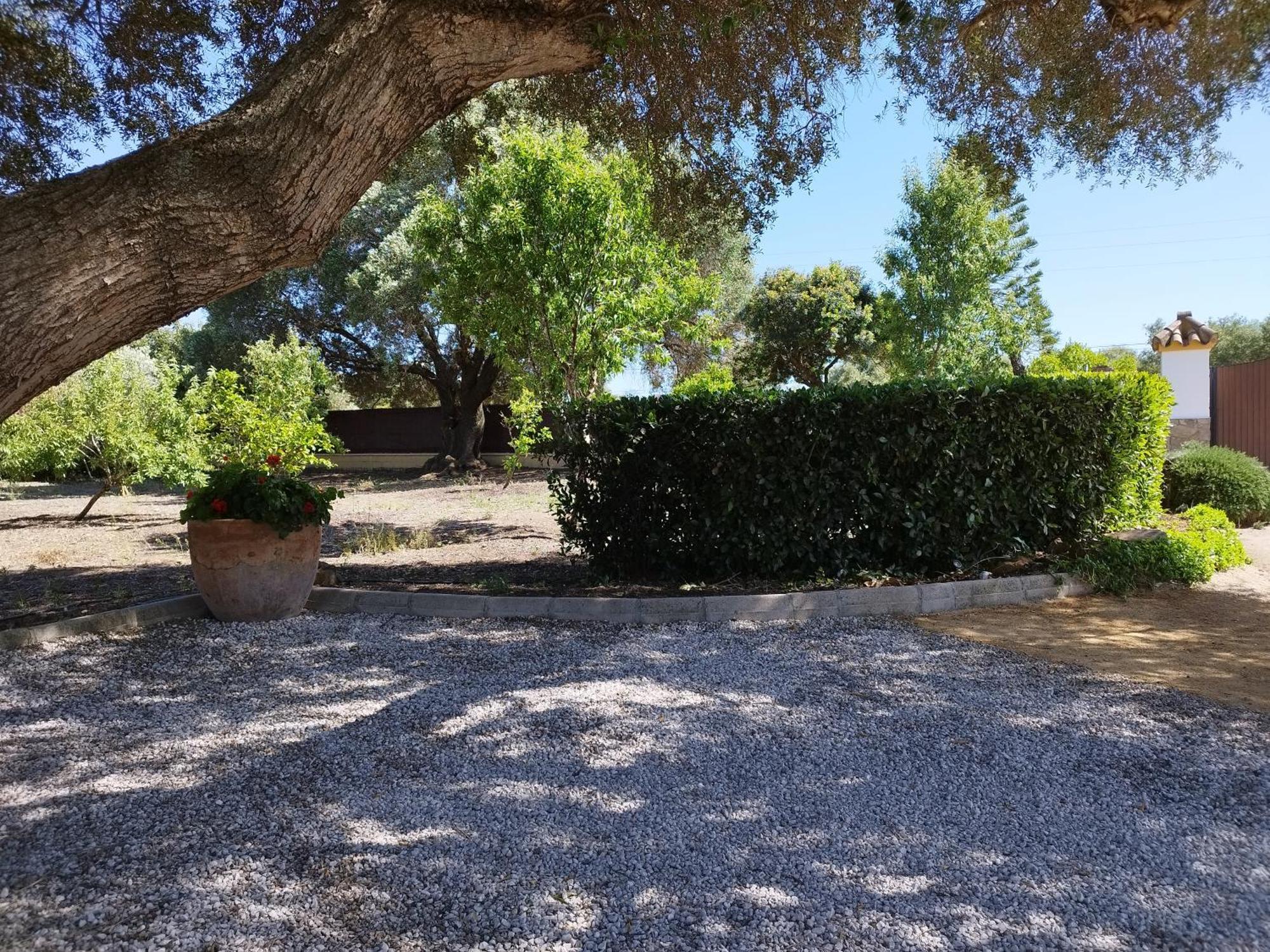 Vivienda Rural Los Madronos Malcocinado  Ngoại thất bức ảnh